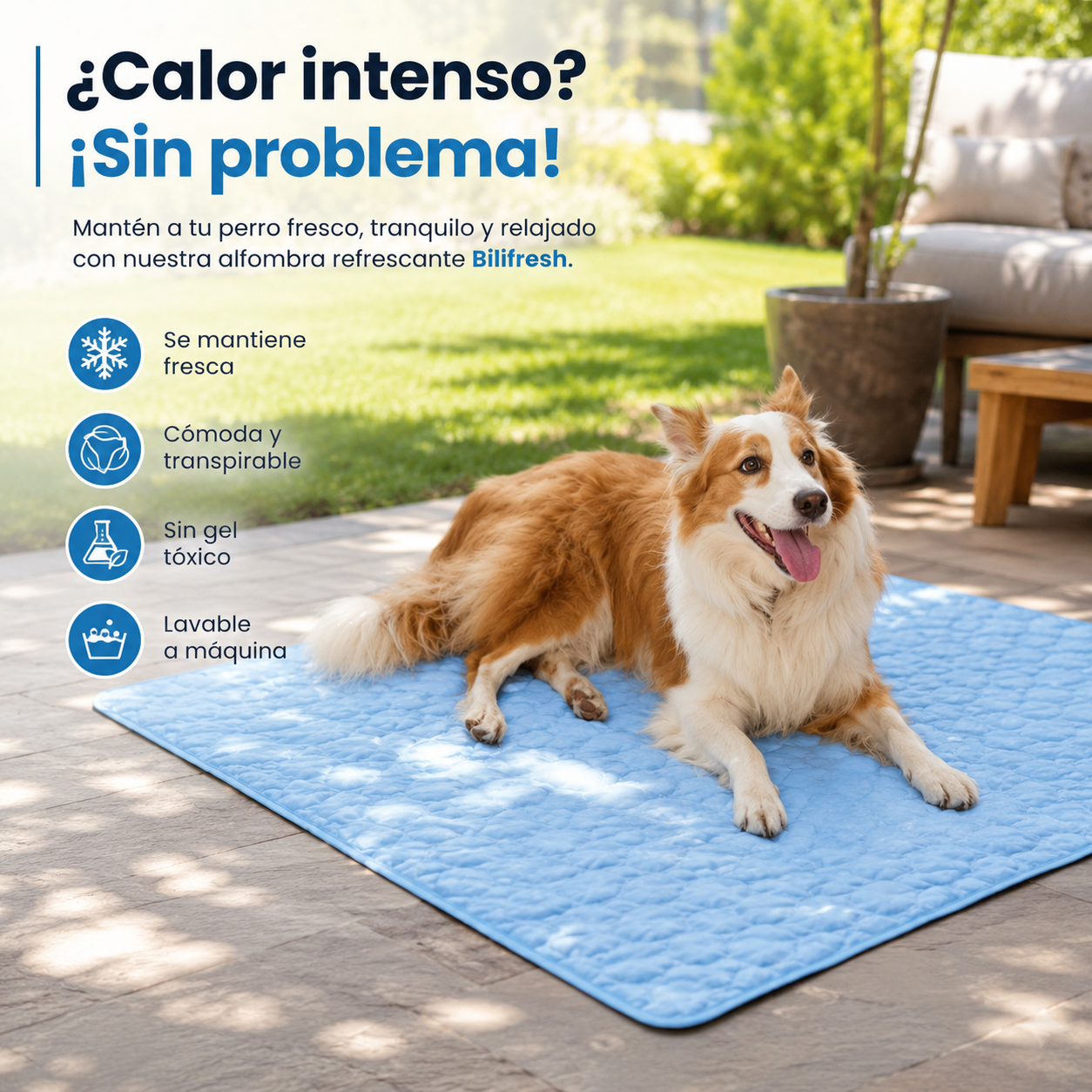 Alfombra Refrescante CoolPet™ – Alivio Inmediato del Calor para Perros y Gatos